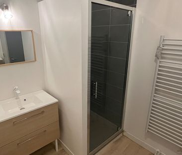 Location Appartement 1 pièce 19m² - Photo 3