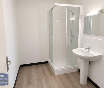 Location Appartement 2 pièces 49m² GRENOBLE 38100 - Photo 3