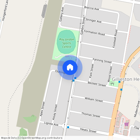 4A Outcrop Avenue, NSW 2321, Gillieston Heights