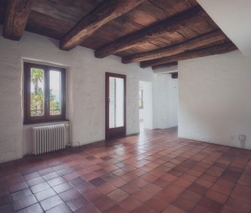 Affittasi luminoso appartamento di 6 locali a Origlio - Foto 1