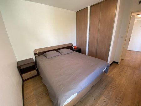 Haut d'IDRON, Dernier étage avec Terrasse Vue PYRENEES, Superbe T3 Meublé avec 2 chambres, - Photo 3