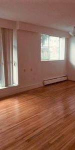 1 Bedroom -Ground Floor 1585 West 11 Avenue - between Fir & Granville - Photo 3