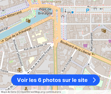 Location T3 Meublé Rennes Centre-Ville - Photo 1
