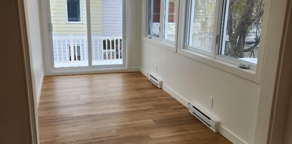 5 1/2 à Laval, rénové avec cours - Photo 2