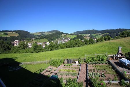 Grosszügige, helle Wohnung mit Aussicht ins Grüne - Photo 3