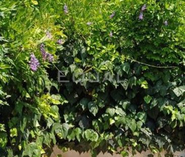 Ενοικίαση κατοικίας, 100 τ.μ., Χαλάνδρι, 1.200 € - Photo 6