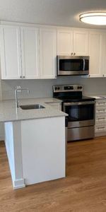 Social Room, Quartz countertops, Pet-Free - Photo 3