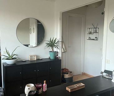 Location Appartement 1 pièce 26m² - Photo 4