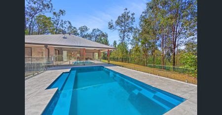 Look At This One! - Photo 2