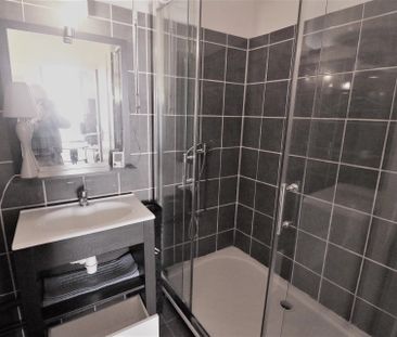 Location Appartement 1 pièce 28m² NEVERS 58000 - Photo 3