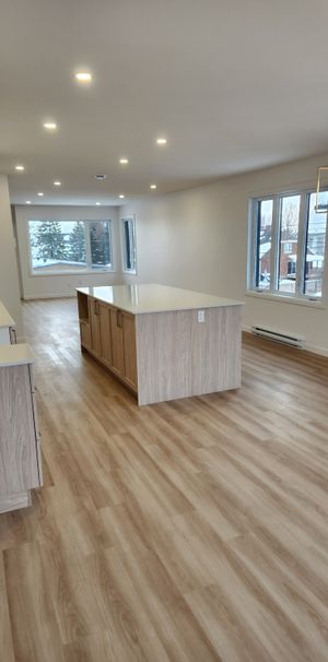 Appartement St-Hyacinthe - Photo 1