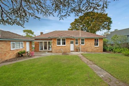 543 Mowbray Road West, Lane Cove NSW 2066 - House For Rent | Domain - Photo 5