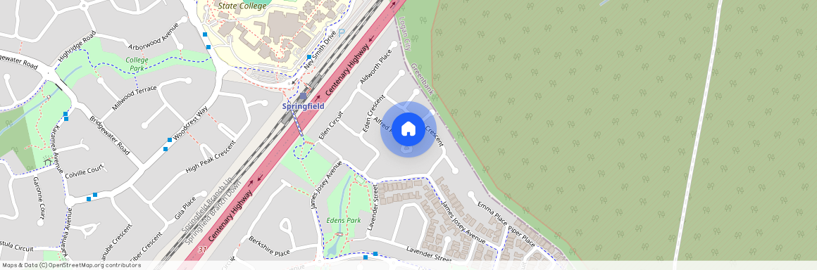 16 Alfred Place, Qld 4300, Springfield Lakes