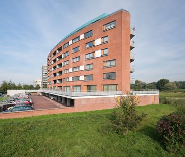 Te huur: Beeldsnijderstraat 89 - Photo 2