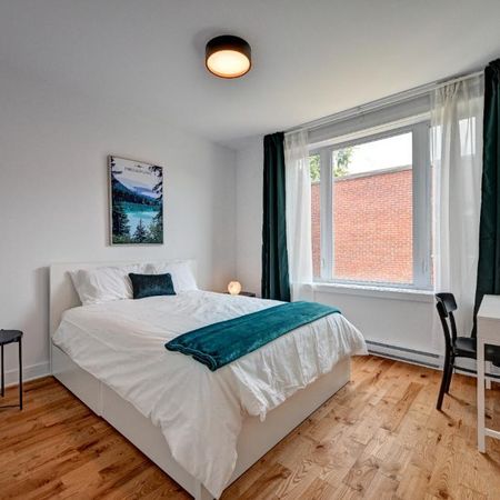 Colocation pour étudiantes à Montréal - Photo 3