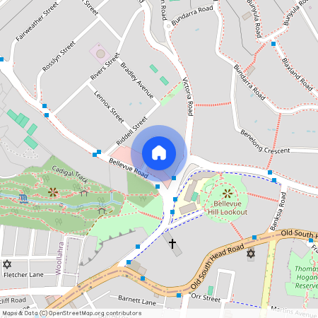 3 Buller Street, NSW 2023, Bellevue Hill