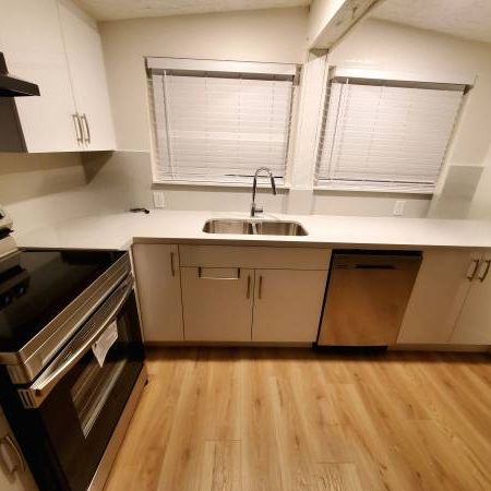 2br+1 den 1 bath avail march 1st (Burnaby) - Photo 1