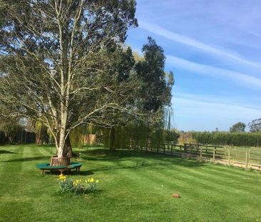 1 bedroom bungalow to rent - Photo 1