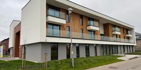 Serviceflat te huur in Wichelen voor € 1.000 met 1 slaapkamer - Photo 5