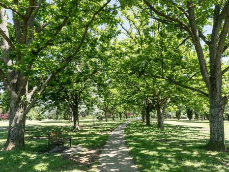 Ainslie Gem - Photo 5