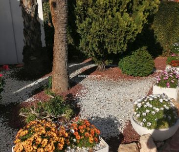 Bungalow Benidorm Winter holiday let - Photo 5