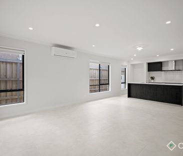 Don't Ignore-a Carora! - Photo 3