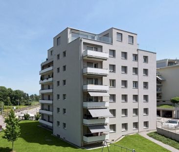 Schöne Wohnung mit Blick auf den See - Foto 4