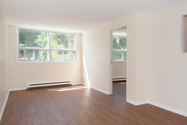 Little Italy - Steps to new Line 2 O-Train station - Quick and easy access to Carleton University - Photo 1