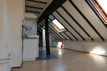 Te huur: Appartement Breulingstraat in Maastricht - Foto 4