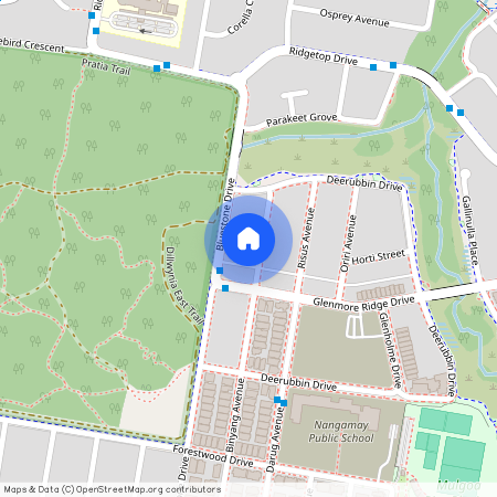 17 Binyang Avenue, NSW 2745, Glenmore Park