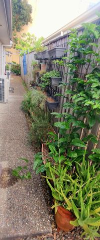 Maroochydore - Photo 5