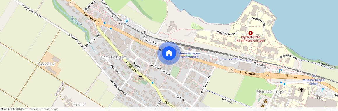 8596, Scherzingen, Seestrasse, 41