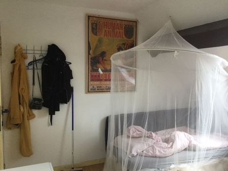 kamer nr4 duplex - Achilles Musschestraat 82 - Photo 2