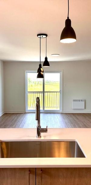 Appartement grand et lumineux à louer à Laval - Photo 1