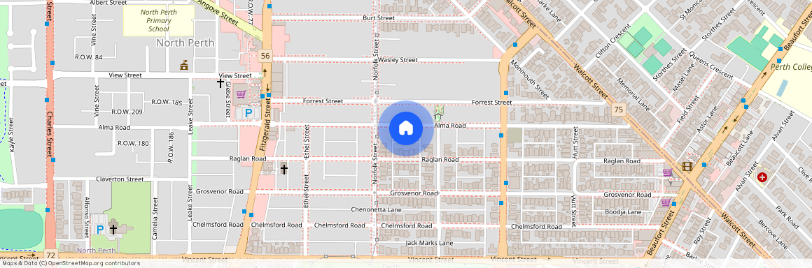 81 Alma Road, Mount Lawley