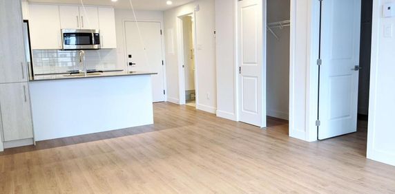 Superbes 3 1/2 Voisin de la Cité Universitaire JUILLET 2024 Sainte-Foy Québec à louer - appartement / logement - Photo 2