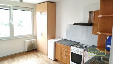 Pronájem bytu 1+1 37 m², J. Opletala, České Budějovice - Fotografie 4