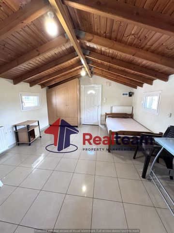 Studio/Γκαρσονιέρα για ενοικίαση Τρίκαλα - Photo 3