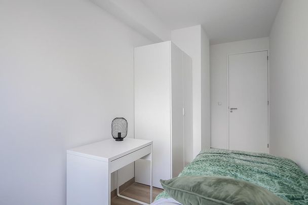 Meander 557 - Foto 1