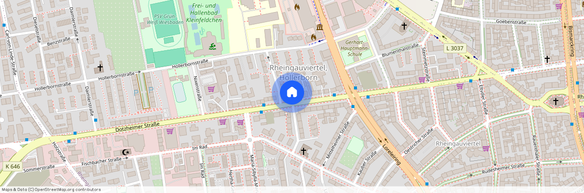 Dotzheimer Str. 111, 65197 Wiesbaden OT Westend