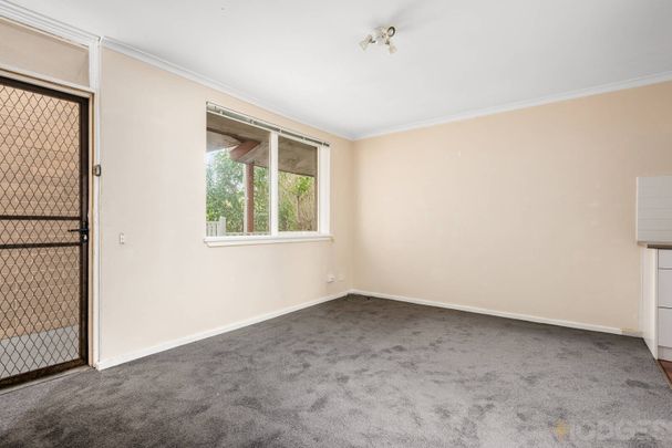 Central Village Lifestyle - Photo 1