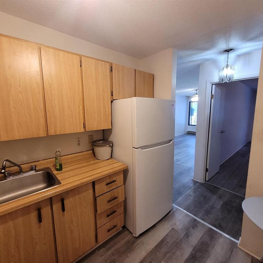 14 Rue Des Flandres (Gatineau) Beau Logement De 1 Cc - Photo 1