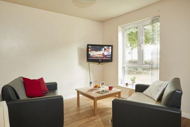 3 bedroom house share to rent - Photo 1