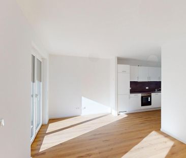 Helle 2-Zimmer Erdgeschosswohnung mit EBK und Südterrasse - Foto 1