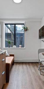 RENT INCENTIVE! Fully Renovated Furnished Studios@Alma on Abbott - Photo 4