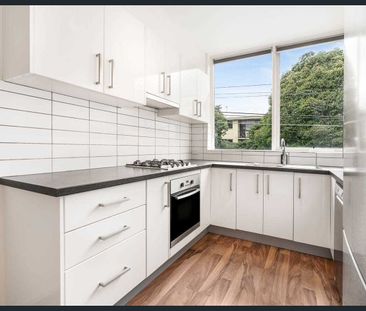 Style, Space, Your Ideal Bayside Place - Photo 6