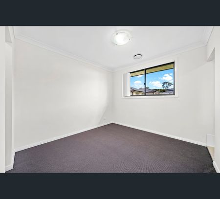 161 Wainwright Drive, Cobbitty, NSW 2570 - Photo 5