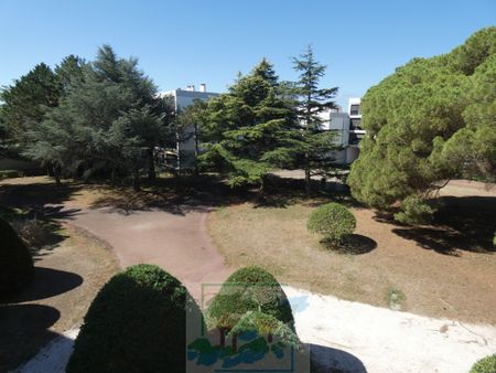 Location Appartement 3 pièces 53m² ST CYPRIEN 66750 - Photo 2
