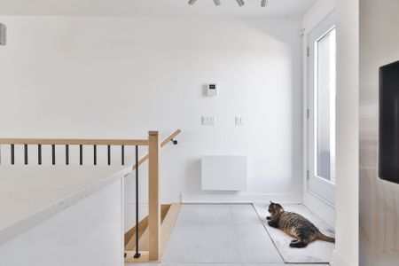 Rue Hutchison, H2V 4A1, Montréal - Photo 2