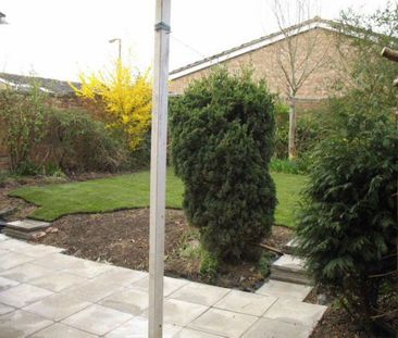 2 bedroom bungalow to rent - Photo 6